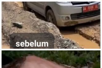 Bupati Kotabaru Gerak Cepat Turunkan Alat Berat Perbaiki Jalan Penghubung Desa