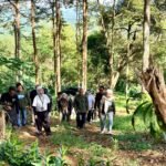 Penguatan Perhutanan Sosial, Kadishut Kalsel Tinjau KTH Penerima REDD+ di Tanah Laut