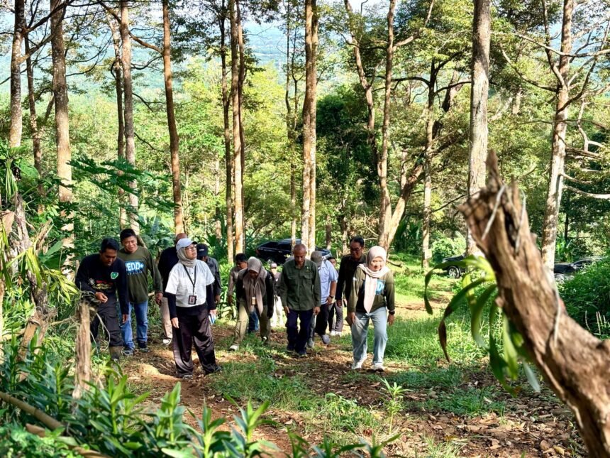 Penguatan Perhutanan Sosial, Kadishut Kalsel Tinjau KTH Penerima REDD+ di Tanah Laut