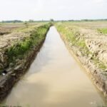 Pemprov Kalsel Perkuat Irigasi Persawahan Hadapi Ancaman Kemarau 2026