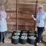 Gencarkan Pengembangan Itik Melalui Inovasi SITI HAWA LARI, Kalsel Perkuat Ketahanan Pangan