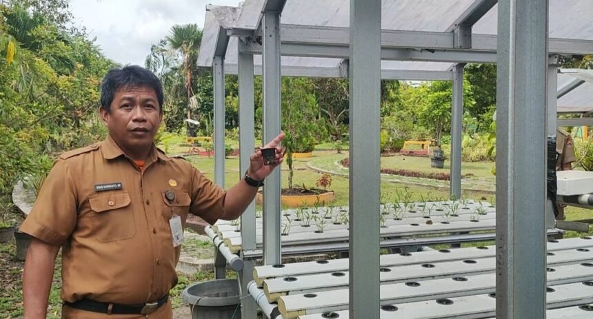 BBTPH Kalsel Kembangkan Inovasi Hidroponik untuk Pembenihan Cabai dan Tomat
