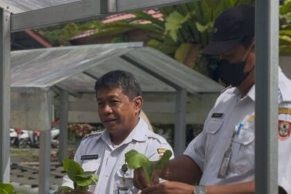 BBTPH Kalsel Panen Sayuran Hidroponik, Bagikan Gratis untuk Warga dan Karyawan