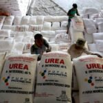 DPKP Kalsel Perketat Pengawasan Penyaluran Pupuk Bersubsidi di Kabupaten/Kota