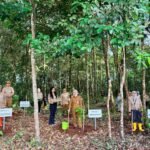 Pemprov Kalsel Dorong Gerakan Penghijauan pada Penanaman Pohon HUT ke-43 BPKP