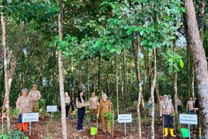 Pemprov Kalsel Dorong Gerakan Penghijauan pada Penanaman Pohon HUT ke-43 BPKP