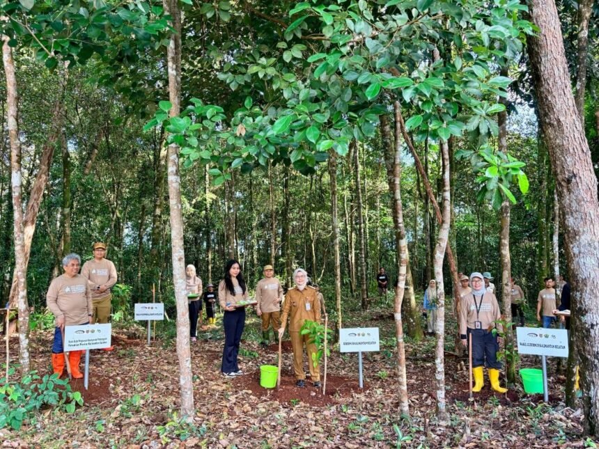 Pemprov Kalsel Dorong Gerakan Penghijauan pada Penanaman Pohon HUT ke-43 BPKP