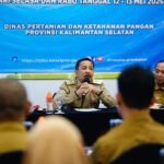 Distribusi dan Pasokan Pangan Jadi Fokus, Kalsel Perkuat Peran Penggilingan Padi