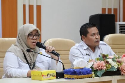 Review RP3KP Kalsel, DPRKP Dorong Sinkronisasi Perencanaan Perumahan dan Kawasan Permukiman