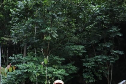 Kebun Raya Banua Kembangkan Riset Tumbuhan Obat Berbasis Pengetahuan Lokal