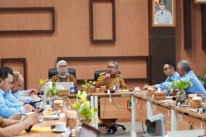 Dishut Kalsel dan Tenaga Ahli Gubernur Sinkronkan Strategi Pengelolaan Kehutanan Berkelanjutan