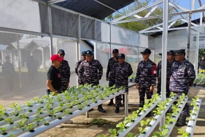 Perkuat Ketahanan Pangan, TNI AL Bersama DPKP Kalsel Kembangkan Pertanian Terpadu