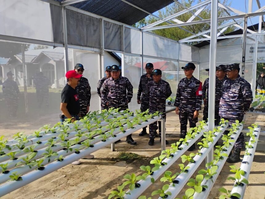 Perkuat Ketahanan Pangan, TNI AL Bersama DPKP Kalsel Kembangkan Pertanian Terpadu
