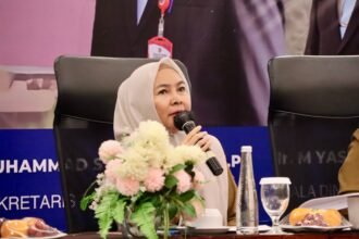 DPMPTSP Kalsel Jelaskan Mekanisme Perizinan Pemanfaatan Bagian Jalan Provinsi