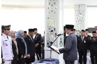 Image default