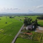 Bupati Andi Rudi Latif Dorong Produktivitas Petani dan Petambak Lewat Pengaspalan Jalan di Desa Sepunggur