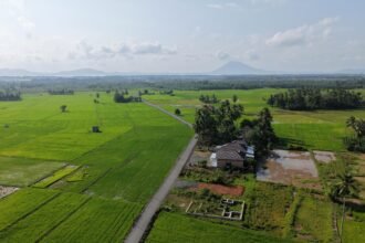 Bupati Andi Rudi Latif Dorong Produktivitas Petani dan Petambak Lewat Pengaspalan Jalan di Desa Sepunggur